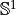 \mathbb{S}^1